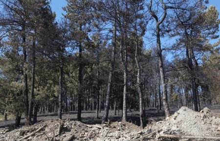 Tavşanlı'daki yangından geriye köylünün el arabası kaldı