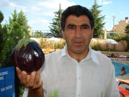 Tavuk Ve Kaz Gübresi İle 650 Gram Ağırlığında Patlıcan Yetiştirdi