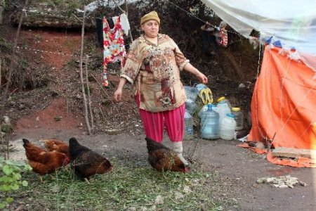 Tavuklarından Ayrılmamak İçin Sokağa Atılmayı Göze Alan Çifte Toplum Polisi Sahip Çıktı