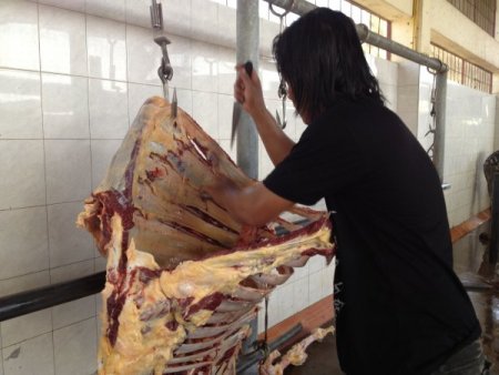 Tayland'da kasaplar pirana gibi (Özel)