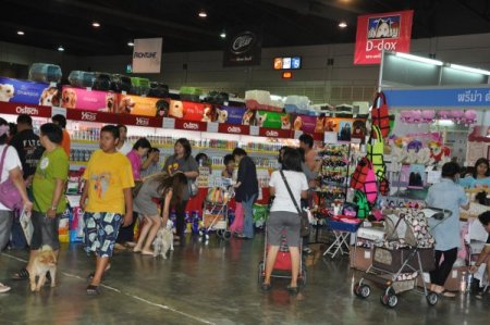 Tayland'daki Köpek Fuarı İlginç Görüntülere Sahne Oldu