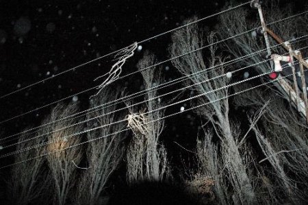 Tedaş Ekipleri, Zorlu Tipi Altında Elektrik Kesintilerini Onarıyor