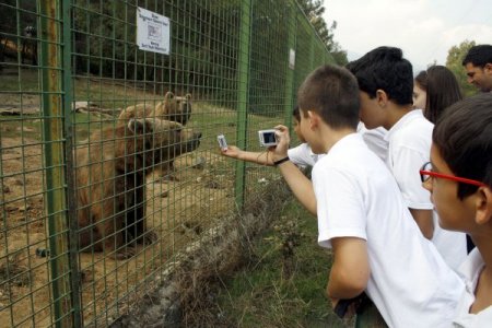 Tedavi edilen şahinler ‘Hayvanları Koruma Günü’nde özgür bırakıldı