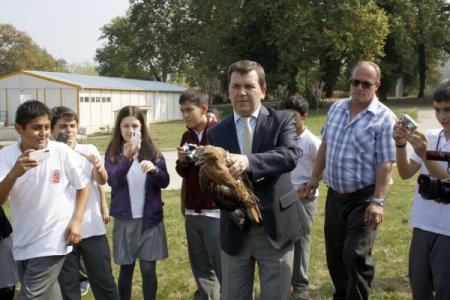 Tedavi edilen şahinler ‘Hayvanları Koruma Günü’nde özgür bırakıldı