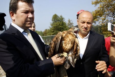Tedavi edilen şahinler ‘Hayvanları Koruma Günü’nde özgür bırakıldı