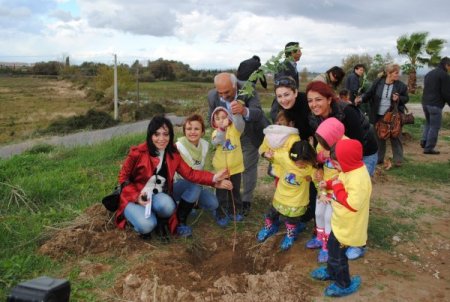 TEMA: 14 Şubat'ta sevgilerin kök salması için bir fidan dikelim