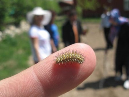 TEMA Kayseri'de öğretmenlere 'Ekolojik Okuryazarlık' eğitimi verdi