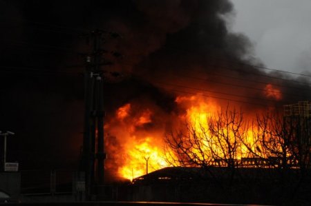 TEMA: Yangın bir çevre felaketidir