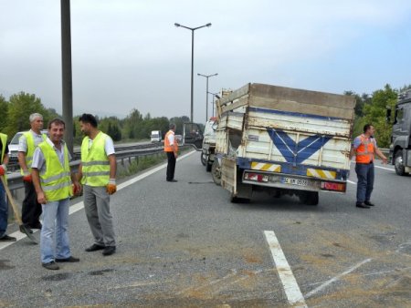 TEM’de kurban yüklü kamyon devrildi, hayvanlar otoyolu birbirine kattı