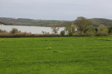 Terkos Gölü'nde Bahar