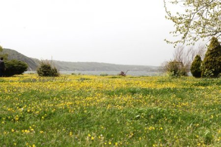 Terkos Gölü'nde Bahar