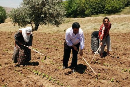 Terör Nedeniyle Boşaltılan Köyüne 17 Yıl Sonra Döndü, 77 Yaşında Çiftçilik Yapıyor