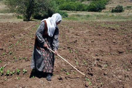 Terör Nedeniyle Boşaltılan Köyüne 17 Yıl Sonra Döndü, 77 Yaşında Çiftçilik Yapıyor