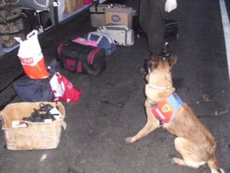 Terör örgütünün gelir kaynağı 11 kilo esrar ele geçirildi