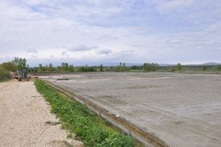 Tersakan Irmağı taştı, ekili araziler sular altında kaldı