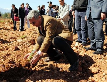 Terziler Ve Öğrenciler Birlikte Fidan Dikti