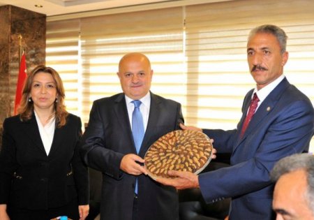 THY, Malatya kayısısını 'göklere' çıkaracak