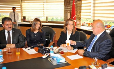 THY, Malatya kayısısını 'göklere' çıkaracak