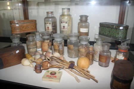 'Tıbbın hafızası' iki kişiye emanet