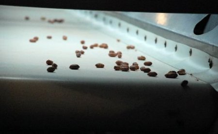 Ticarete Süpürge Satarak Başladı, Şimdi Çukurova'nın Ürününü Dünyaya Pazarlıyor