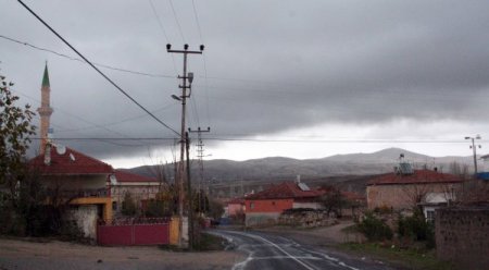 Tilkinin ineği ısırdığı köy, kuduz için karantinaya alındı