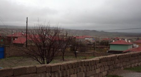 Tilkinin ineği ısırdığı köy, kuduz için karantinaya alındı