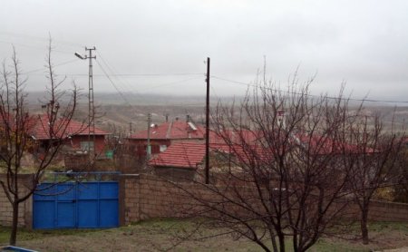 Tilkinin ineği ısırdığı köy, kuduz için karantinaya alındı