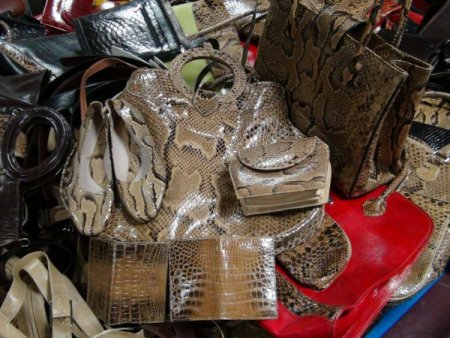 Timsah Ve Yılan Derisinden Eşyalar Gümrüğe Takıldı