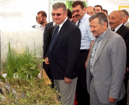 Tirebolu Anadolu İmam hatip Lisesi bilim fuarı sergisi açtı