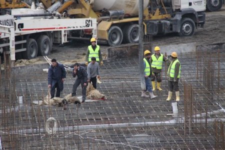 Tokatlıoğlu İnşaat, Cumbalı Evler Projesi'nin Temelini Attı