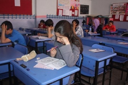 Tokat’ta 8 bin öğrenci O’nu (SAV) okudu