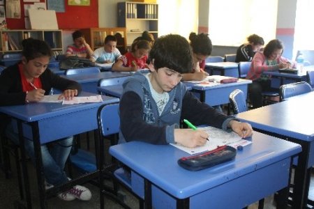 Tokat’ta 8 bin öğrenci O’nu (SAV) okudu