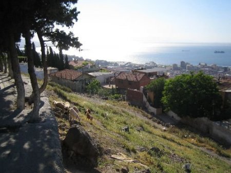 Toki, Üç Şehri Ayağa Kaldırıyor