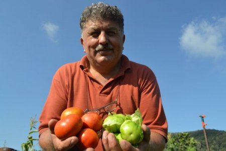 Tomatillo Sofraların Yeni Lezzeti Olmaya Aday