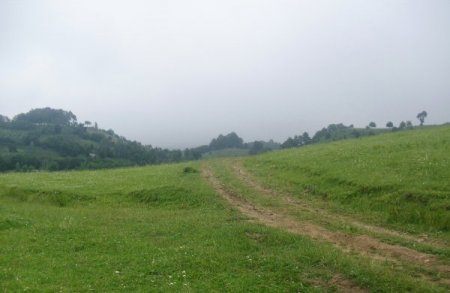 Tonya’da kurulacak çimento fabrikası için ÇED toplantısı yapıldı