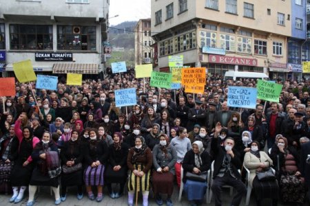 Tonyalılardan çimento fabrikasına karşı inekli eylem
