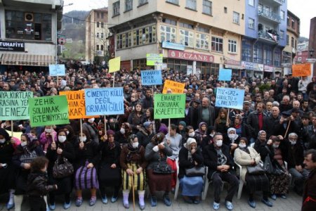 Tonyalılardan çimento fabrikasına karşı inekli eylem