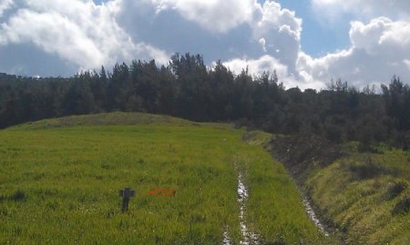 Toprağa saplı kalan mermilerde kimyasal şüphesi