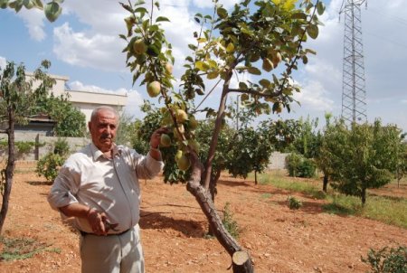 Toprak aşığı dede, bahçesini Türkiye’nin meyve haritası yaptı