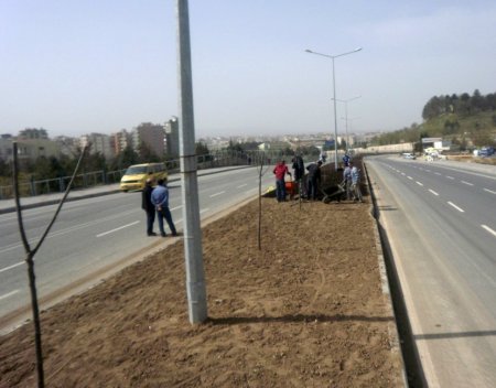 Toprak olan yer yeşillenecek