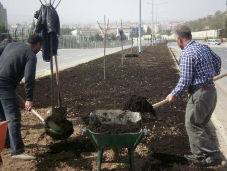 Toprak olan yer yeşillenecek