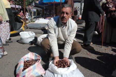 Toptancıya Kızdılar, Vatandaşa 2 Liradan Kestane Sattılar