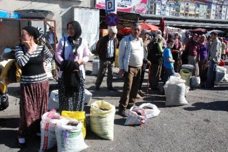 Toptancıya Kızdılar, Vatandaşa 2 Liradan Kestane Sattılar