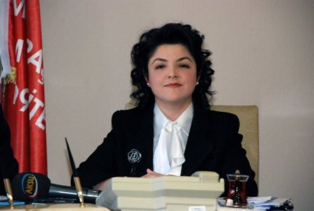 Toros Dağları'nın zirvesinde yaşayan yeni bir böcek türü keşfedildi