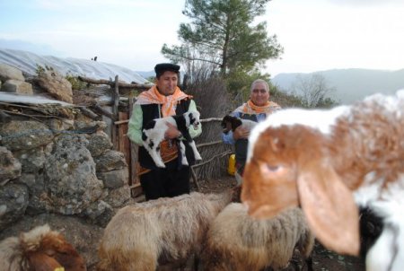 Toros Yörükleri göçten yana dertli