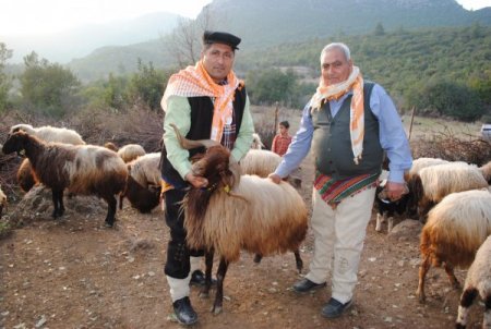 Toros Yörükleri göçten yana dertli