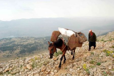 Toroslar'dan Gelen Kardan Yapılan Karsambaçla Serinliyorlar