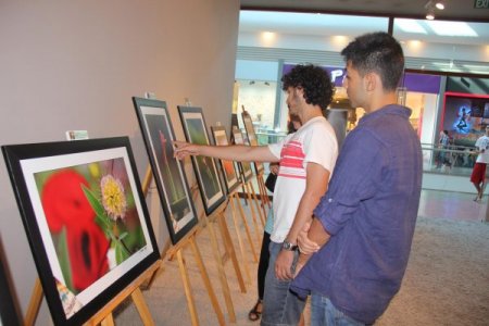 Toroslar'ın nadide çiçekleri görücüye çıktı