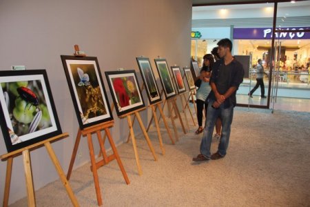 Toroslar'ın nadide çiçekleri görücüye çıktı