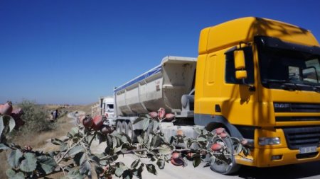 Tozdan bıkan mahallelinin kapattığı yolda 3 kilometrelik TIR kuyruğu oluştu